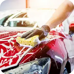 Basic Wash